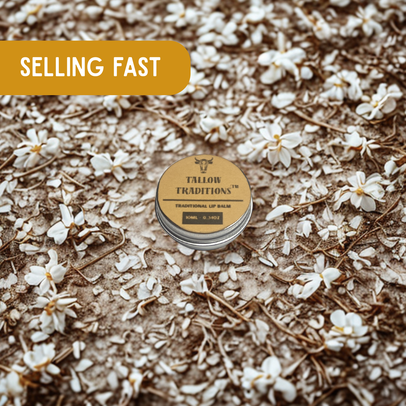 Tallow & Honey Lip Balm: Vanilla