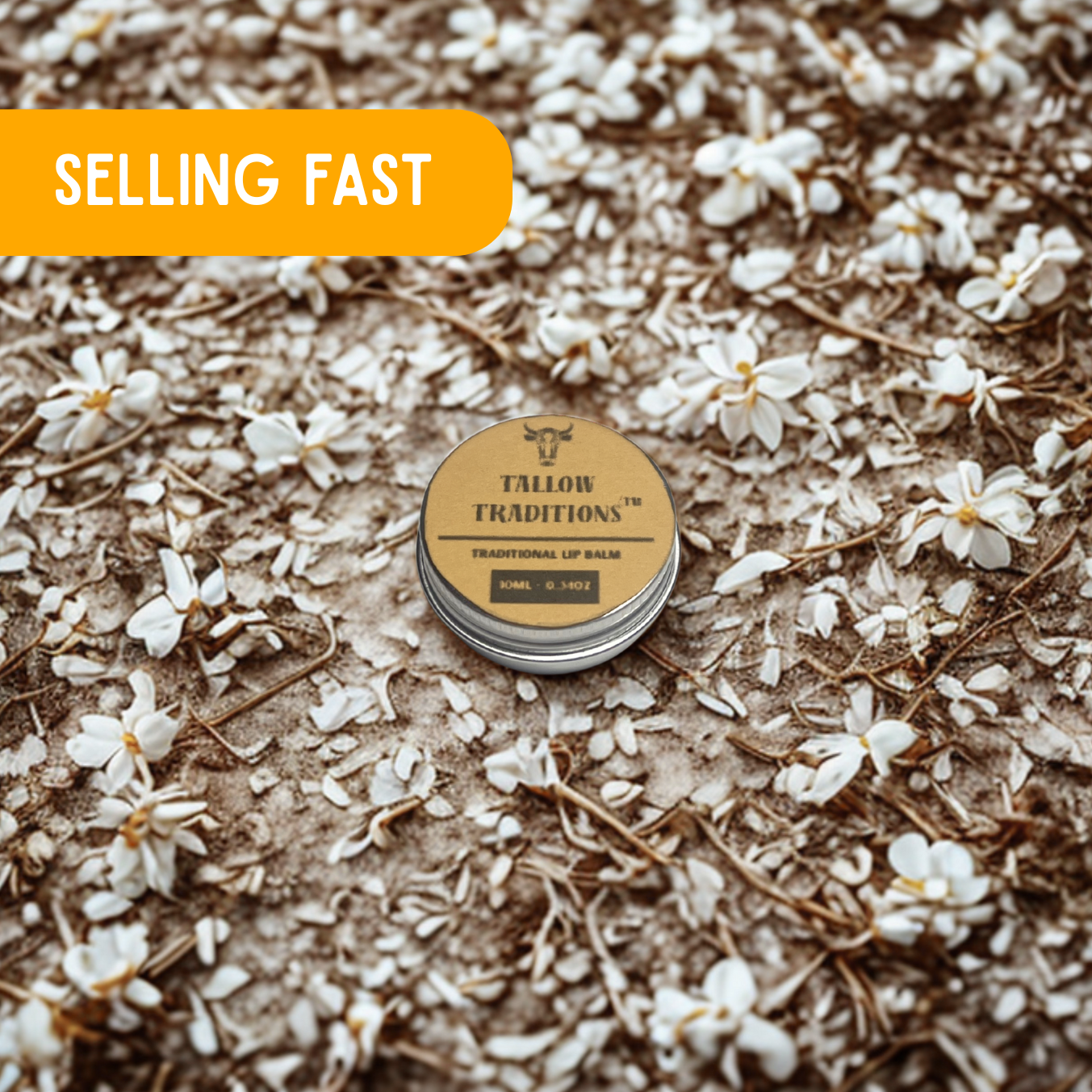 Tallow & Honey Lip Balm: Vanilla