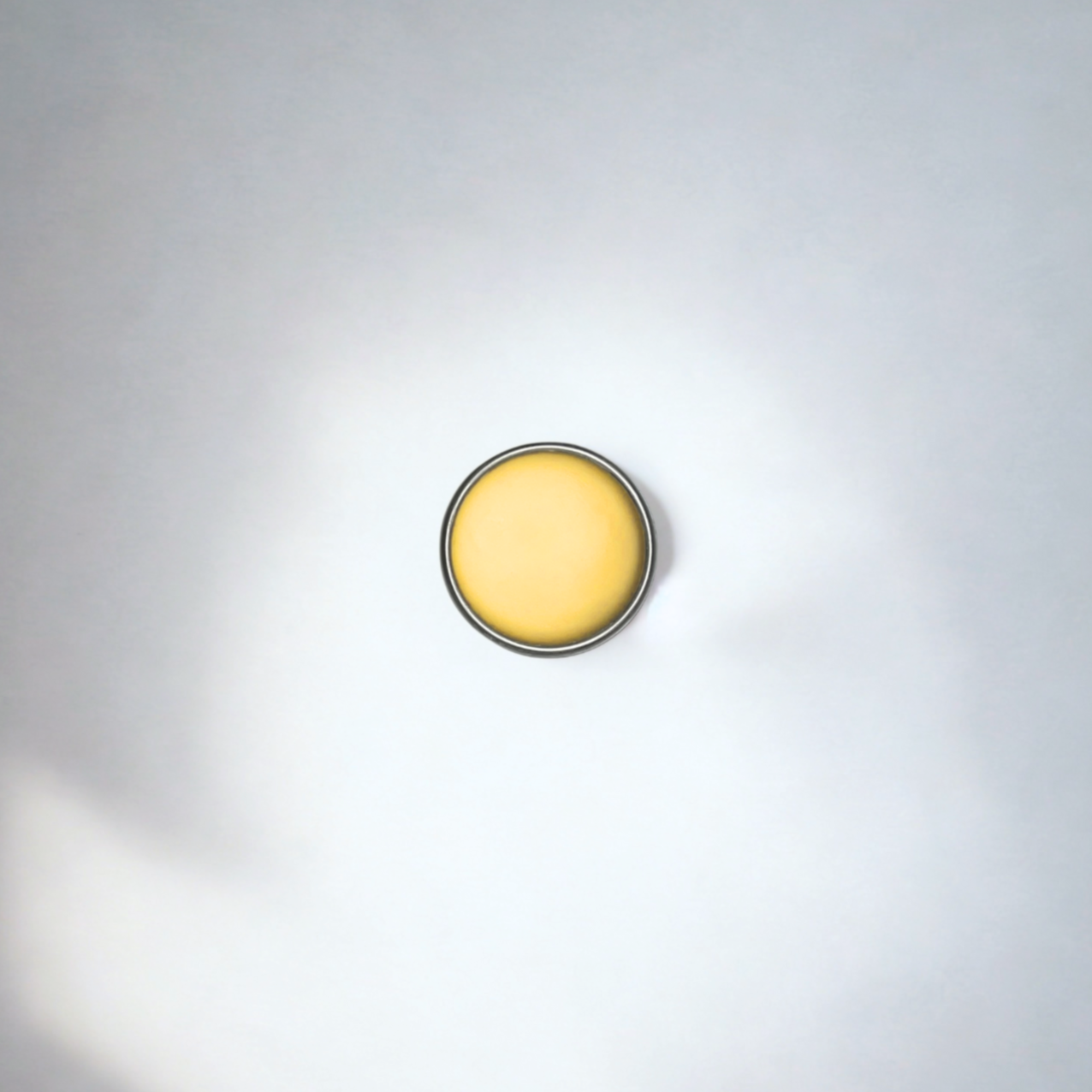 Tallow & Honey Lip Balm: Peppermint